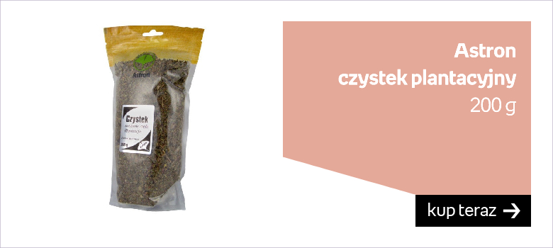 czystek plantacyjny