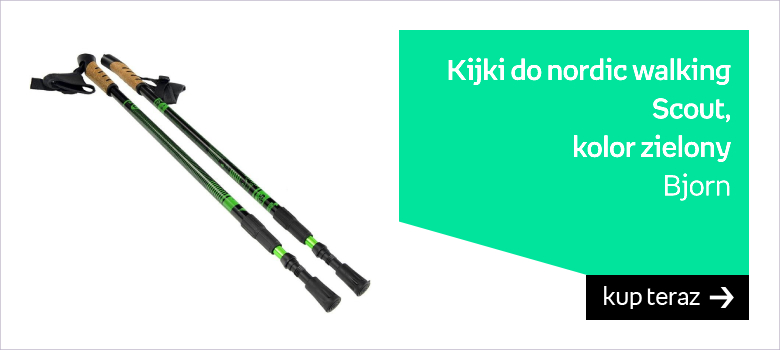 Kijki Nordic Walking Scout Bjorn zielony 