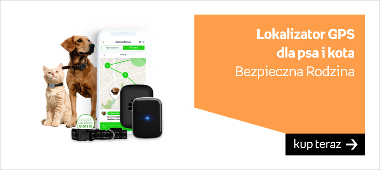 lokalizator GPS dla psa kota