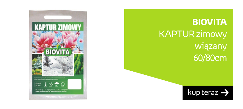 biovita kaptur zimowy wiązany