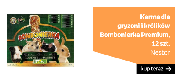 Karma dla gryzoni i królików NESTOR Bombonierka Premium, 12 szt.