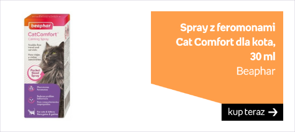Beaphar Spray z feromonami Cat Comfort dla kota