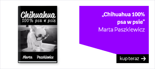 Chihuahua 100% psa w psie - Marta Paszkiewicz 