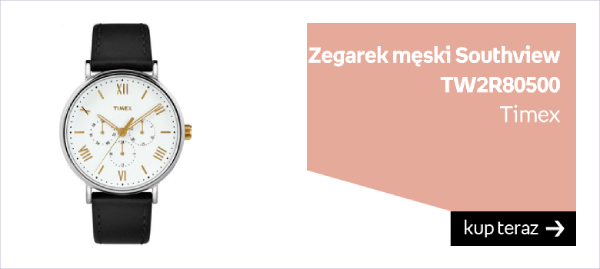 Zegarek TIMEX męski Southview TW2R80500 