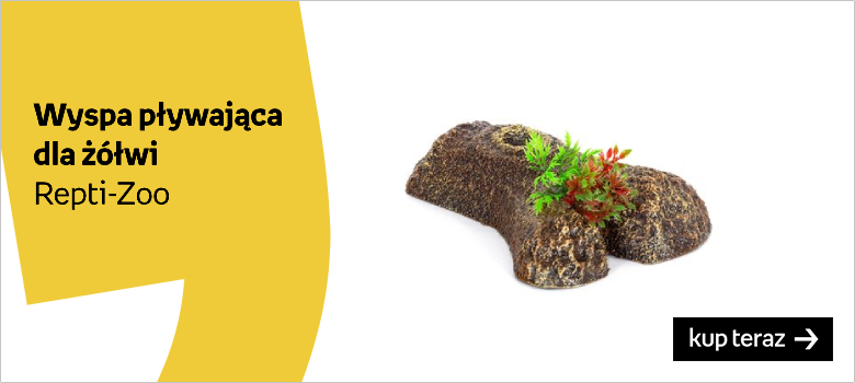 Wyspa do terrarium