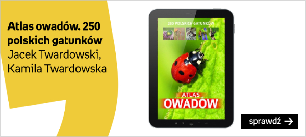 Atlas owadów. 250 polskich gatunków - Jacek  Twardowski, Kamila Twardowska 
