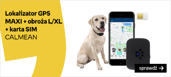 CALMEAN Pet Tracker MAXI + obroża L/XL + karta SIM Lokalizator GPS dla psa