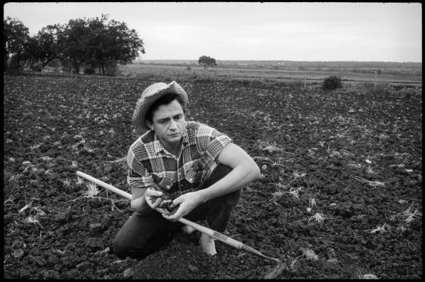 johnny cash