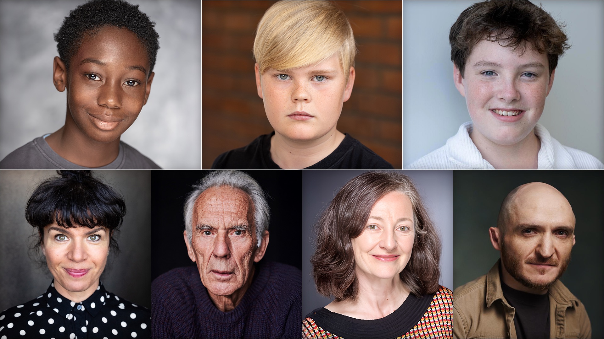 Harry Potter serial obsada