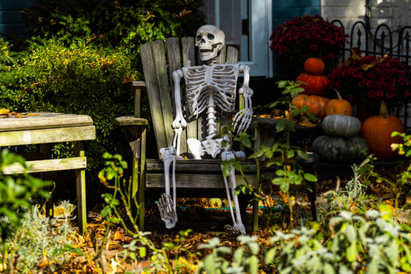 dekoracje do ogrodu na halloween