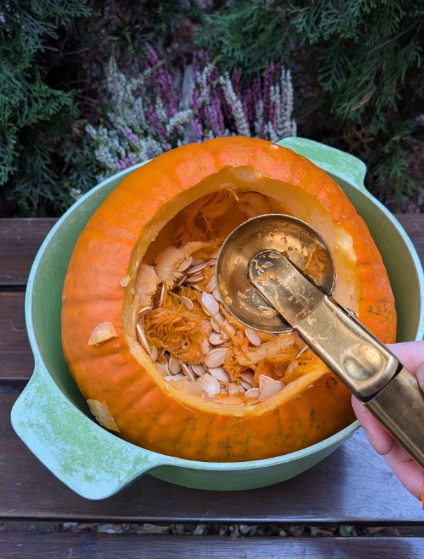 jak przygotować dynię na halloween