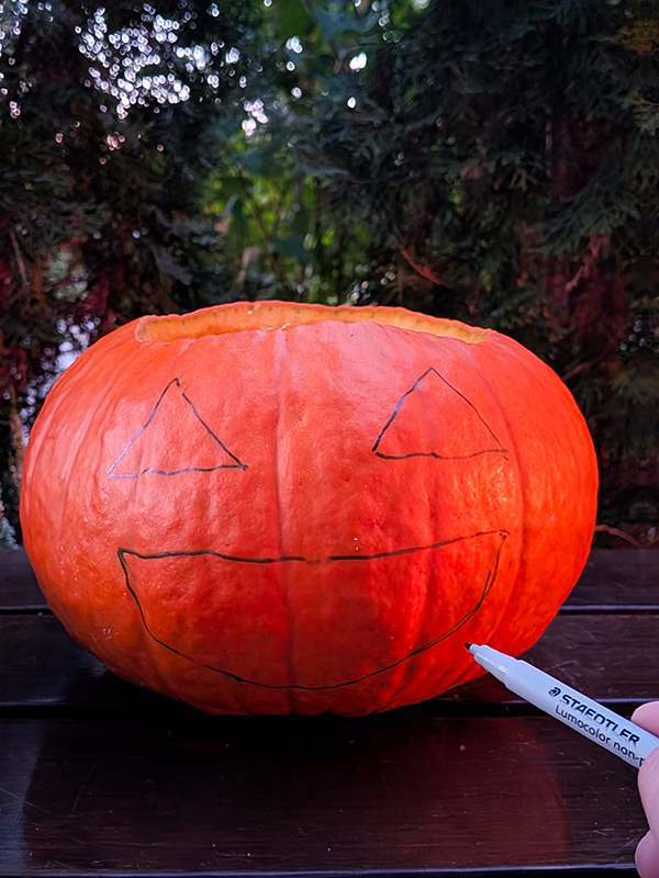 dynia halloween dekoracja