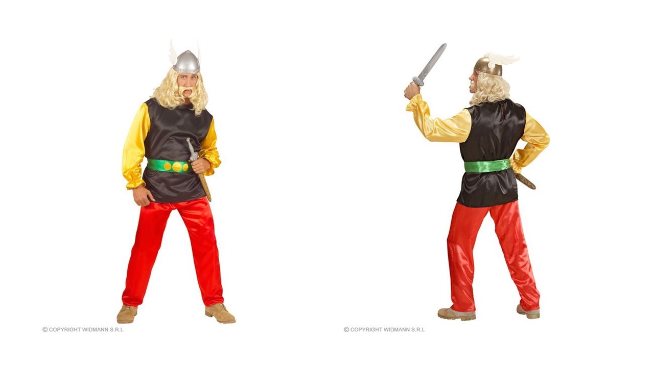 Strój dla dorosłych, Asterix, rozmiar L