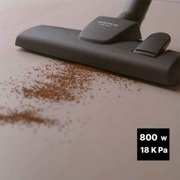 Taurus Homeland Cyclone