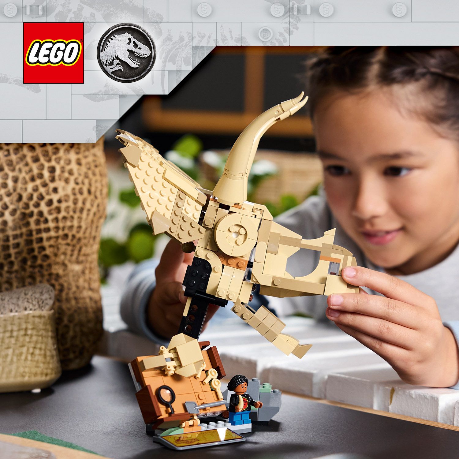 Szkielety dinozaurów z serii LEGO® Jurassic World do zbudowania